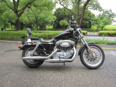 IMG_4381.JPG