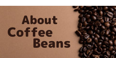 caffèふらっとナビAboutCoffeeBeans.png
