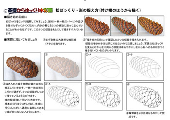 詳しい講座内容 描ける植物の種類を一種類ずつ増やしていきましょう 松ぼっくり ｍａｒｅ