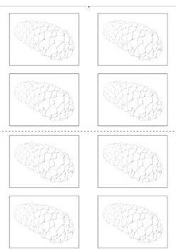 詳しい講座内容 描ける植物の種類を一種類ずつ増やしていきましょう 松ぼっくり ｍａｒｅ