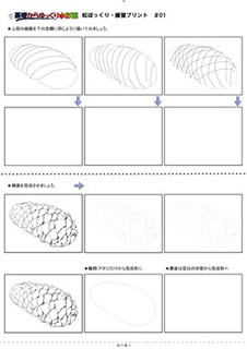 詳しい講座内容 描ける植物の種類を一種類ずつ増やしていきましょう 松ぼっくり ｍａｒｅ