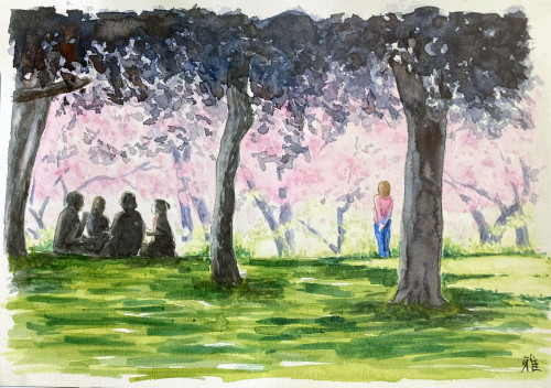 ❸「根岸森林公園の桜」上野 雅子さん.jpg