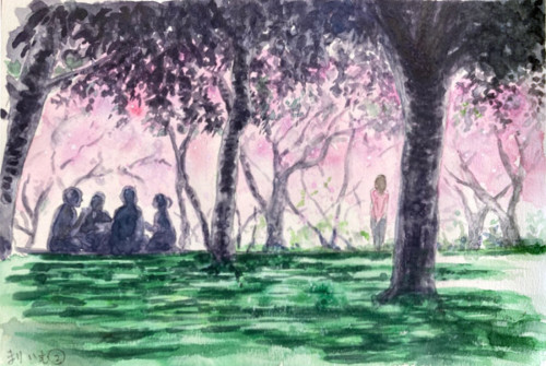 ❻「根岸森林公園の桜」02まりぃむさん.jpg