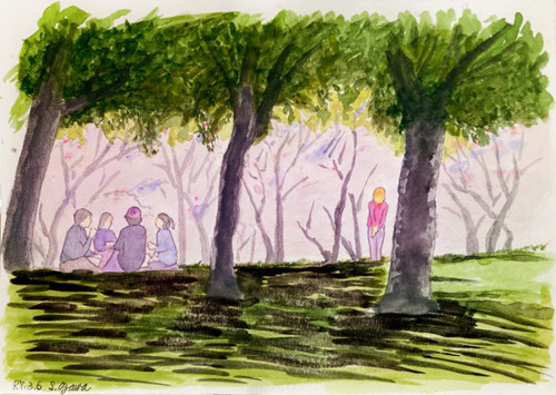 ❼「根岸森林公園の桜」01小澤 栄さん.jpg