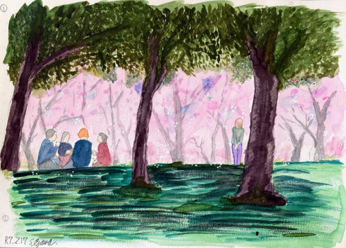 ❽「根岸森林公園の桜」02小澤 栄さん.jpg