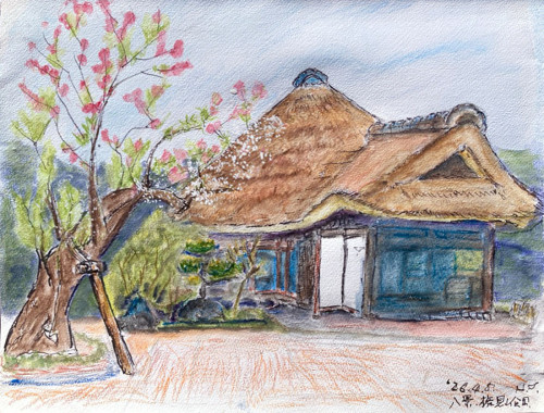 ❺「旧円通寺客殿・権現山公園」高木 弘さん.jpg