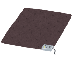 denki_carpet.png