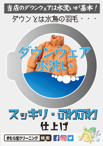 ダウンは水洗いA1.jpg