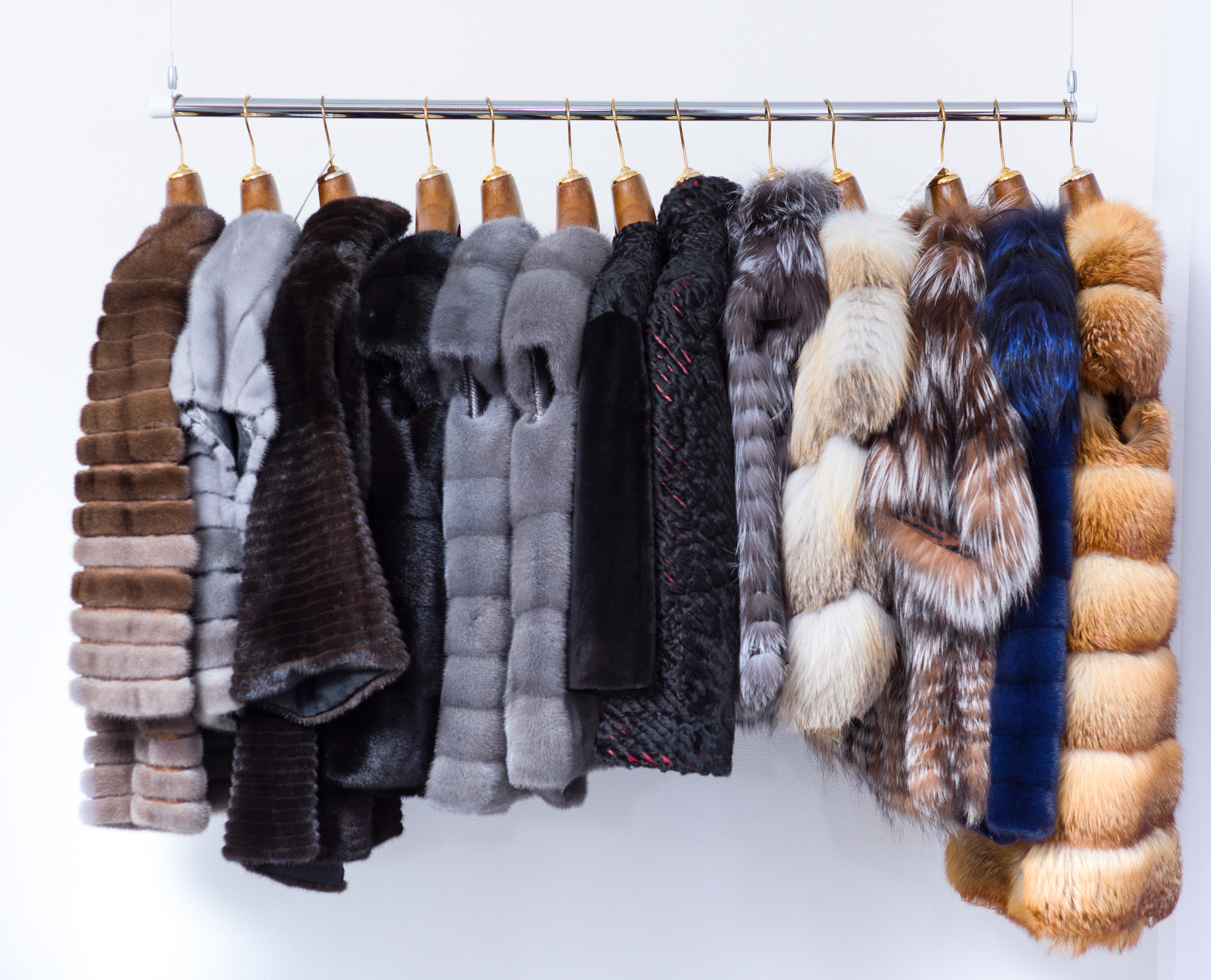 AdobeStock_181807950 (1).jpeg