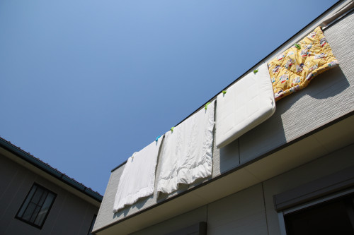 AdobeStock_346074189.jpeg