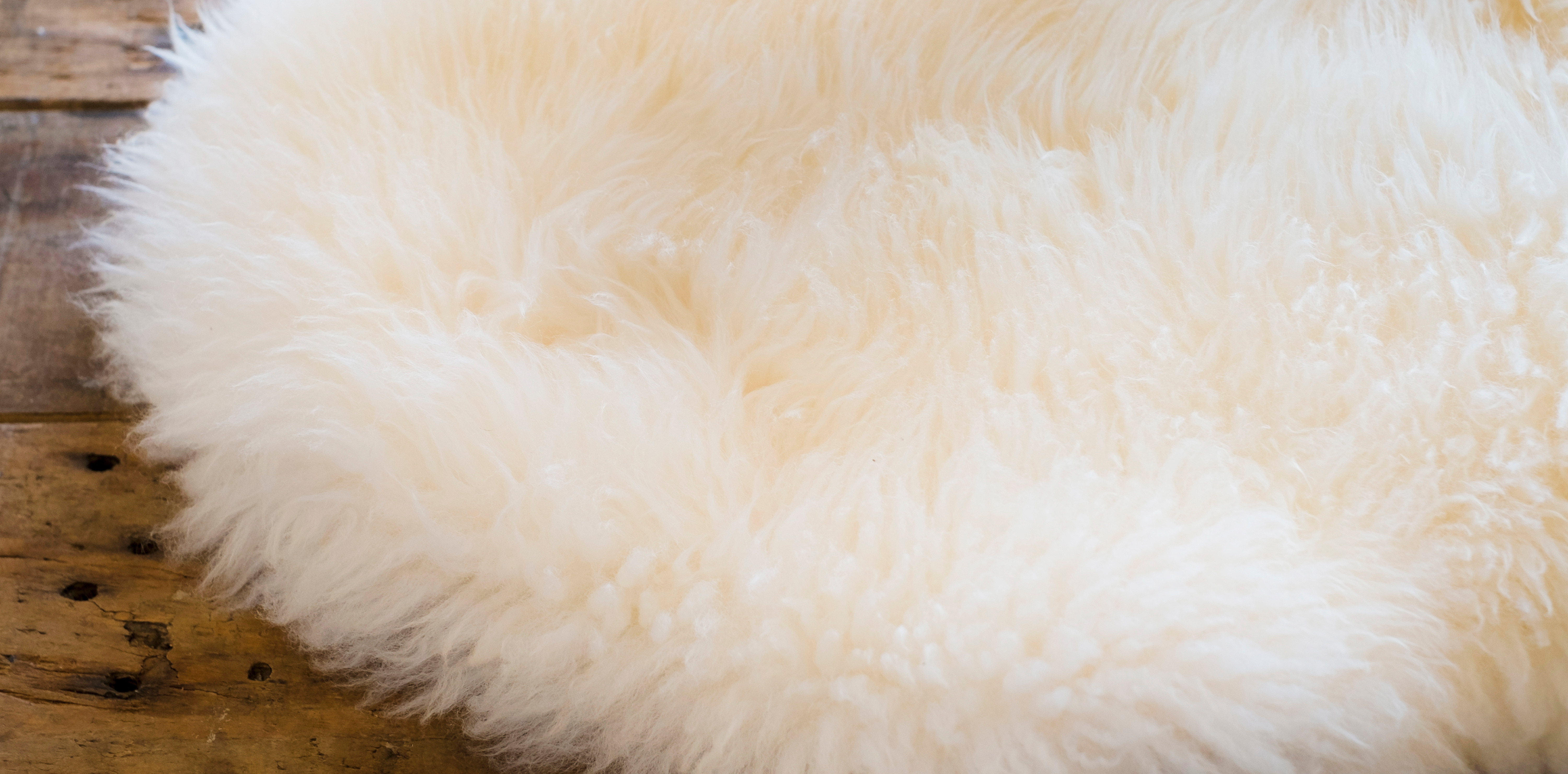 〈ムートンラグクリーニング〉