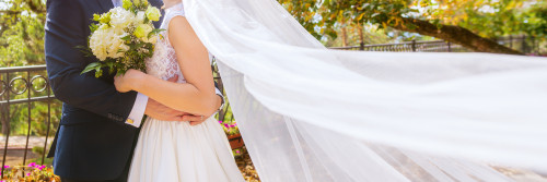 AdobeStock_462173406 (2).jpeg