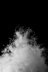 AdobeStock_486477968 (2).jpeg