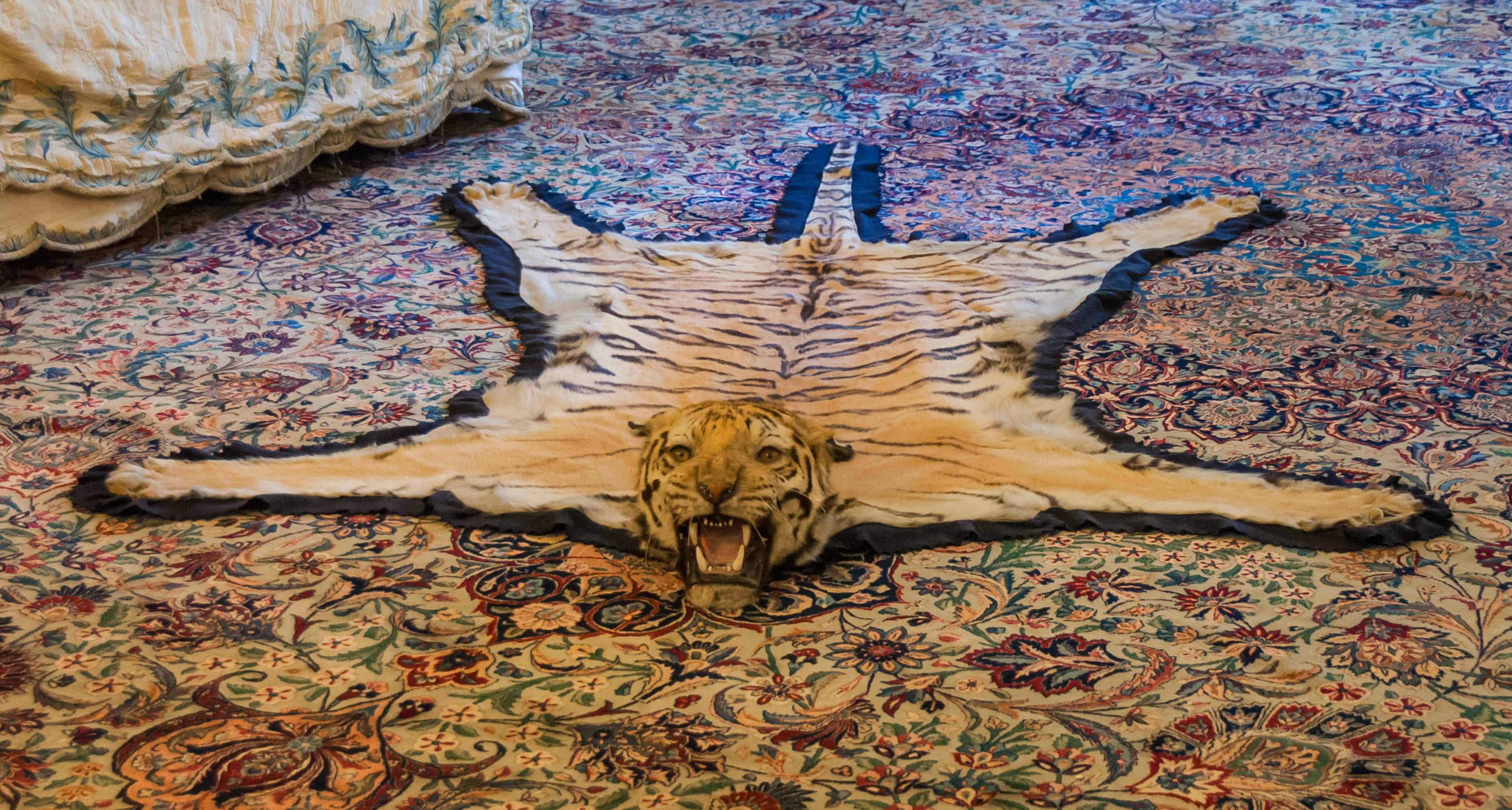 AdobeStock_242063222 (2).jpeg