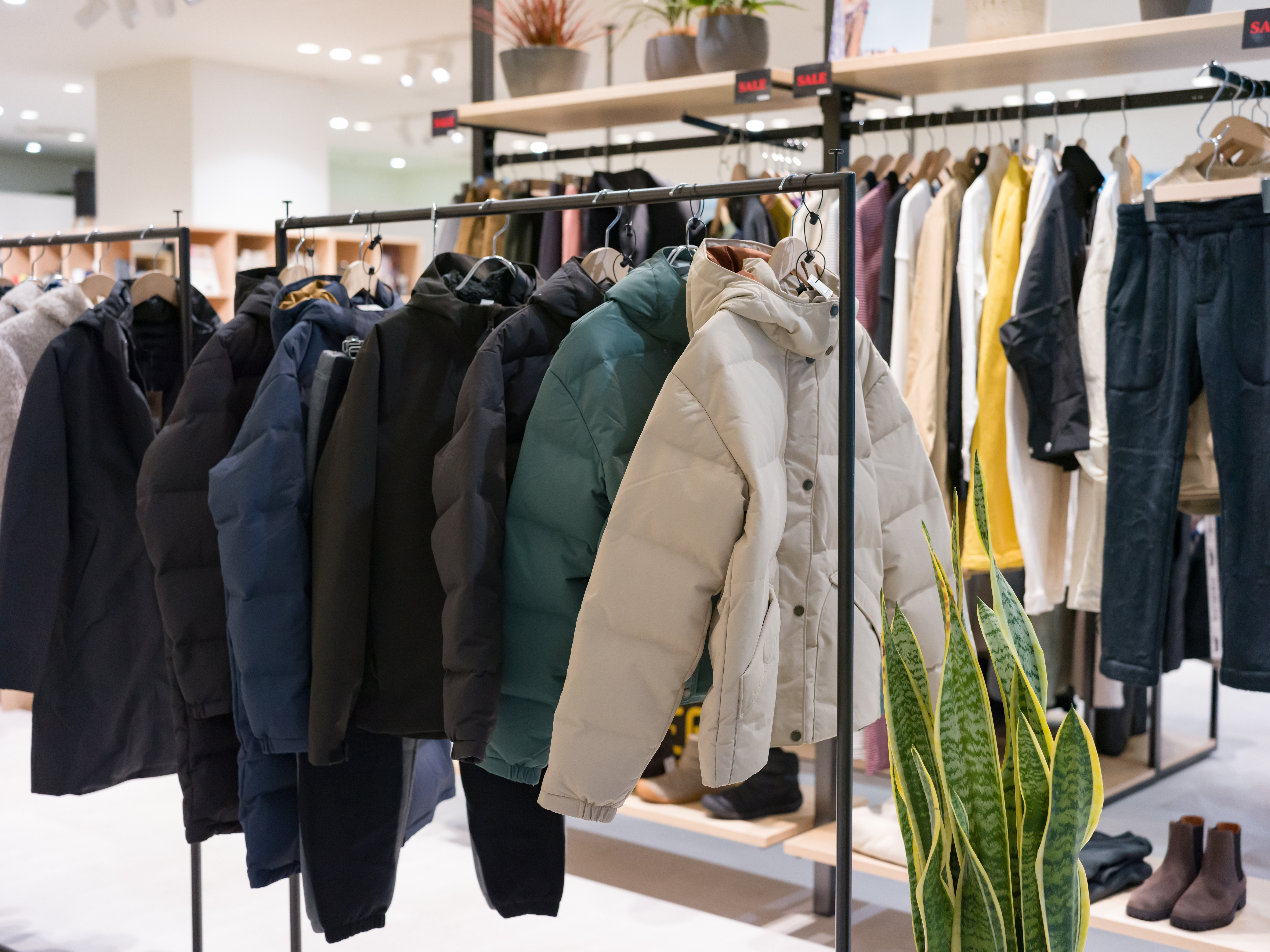 AdobeStock_708819008 (1).jpeg