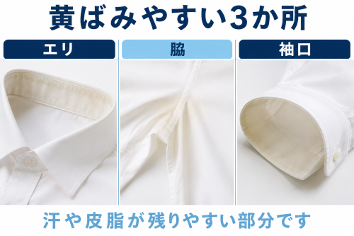 ChatGPT Image 2026年8月25日 19_27_06 (3).png