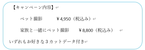 スクリーンショット (1790).png