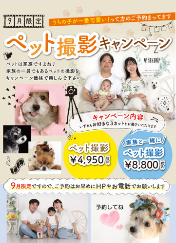 9月限定「ペット撮影キャンペ－ン」