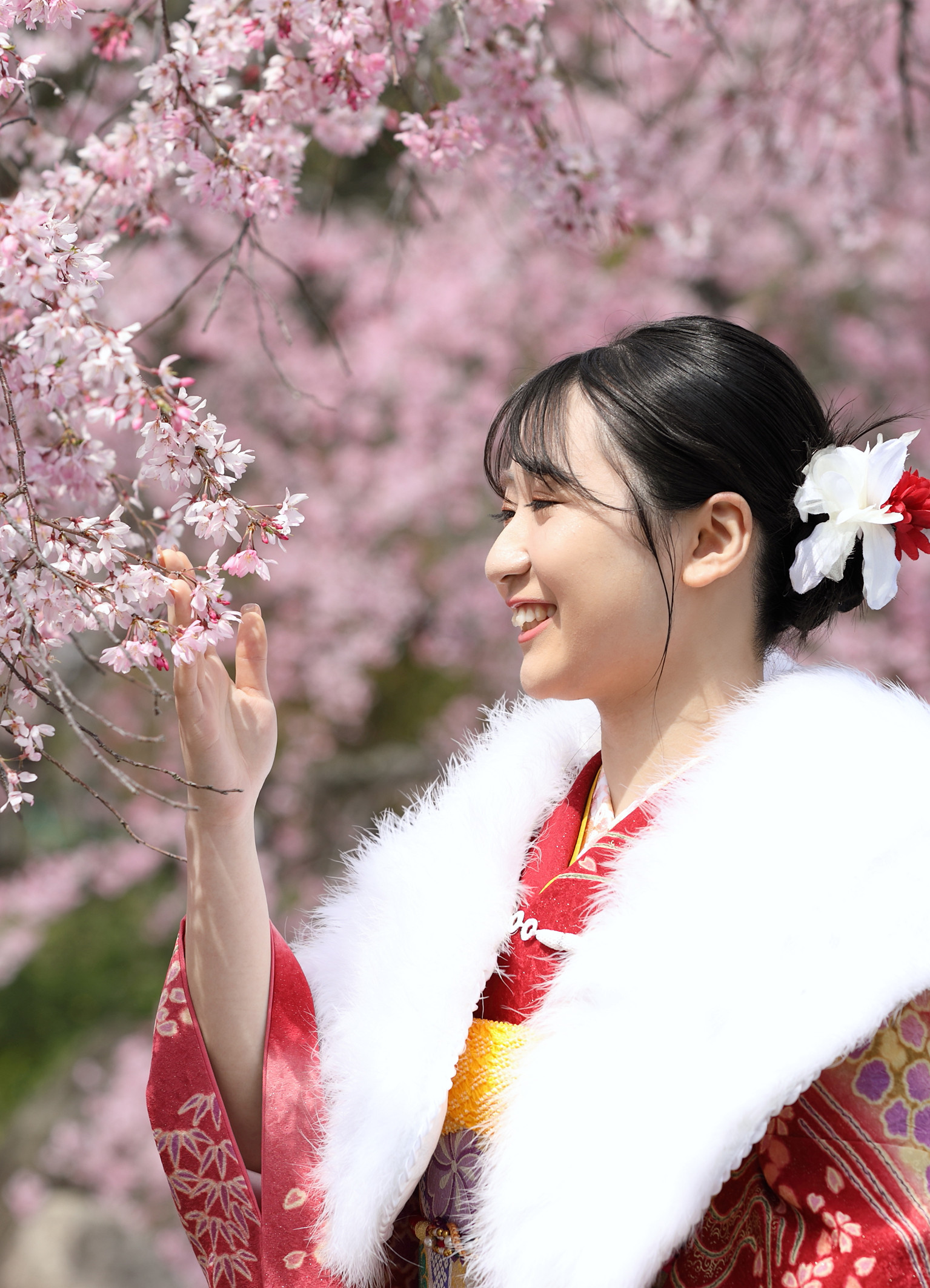 桜の時期にロケ－ション撮影プランのご紹介