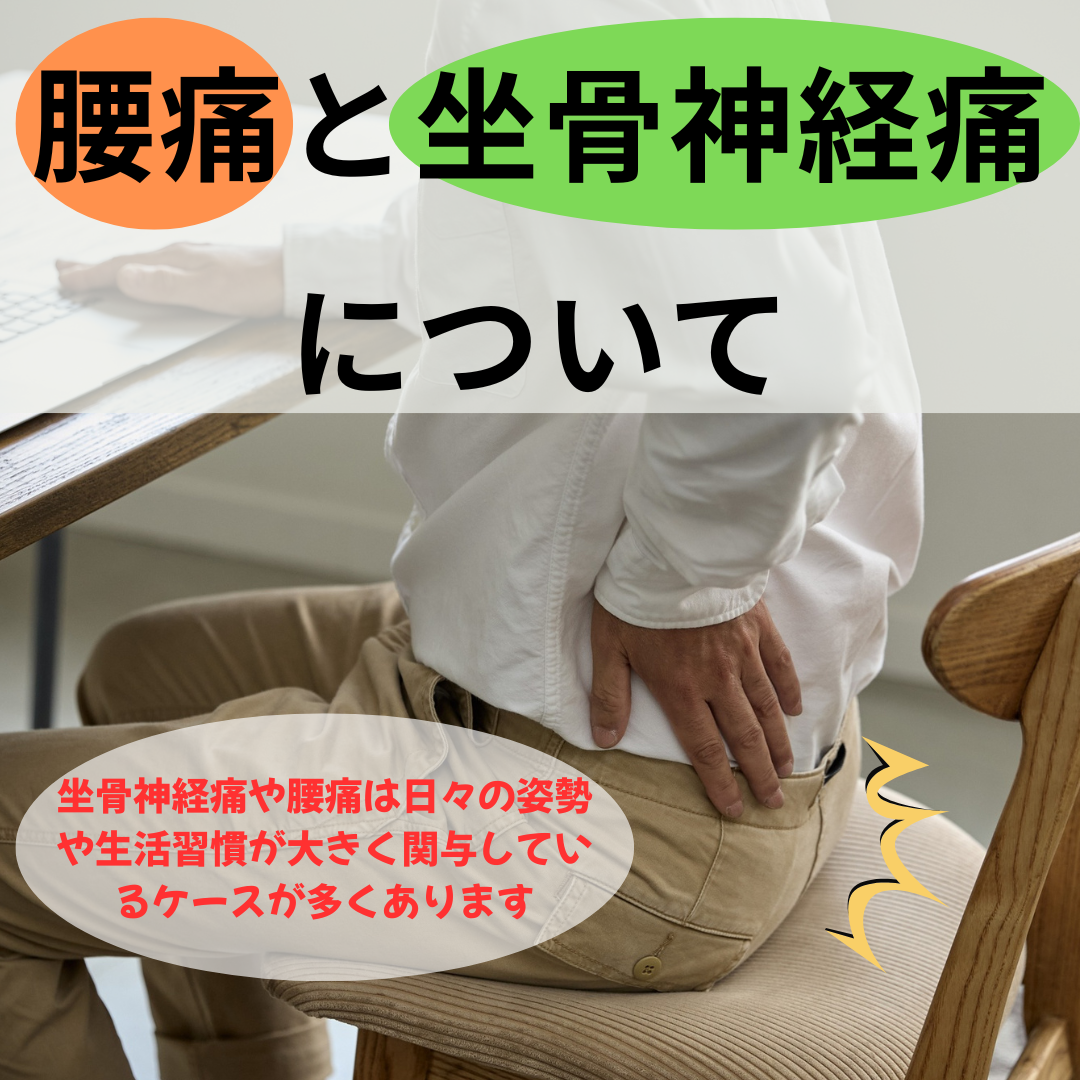 腰痛と坐骨神経痛について