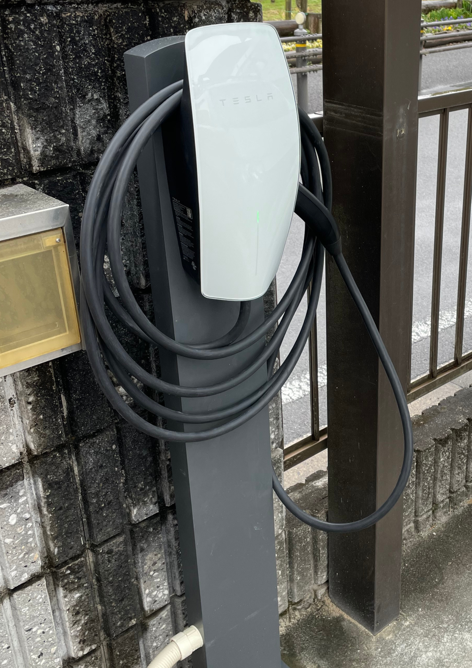 緑 手 種まき 環境キャンペーンポスターのコピー.png