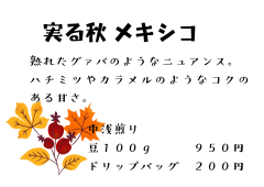 ニカラグア サンタアナ農園 SHG - 6.png