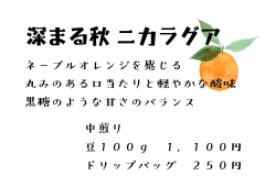 ニカラグア サンタアナ農園 SHG - 4.png