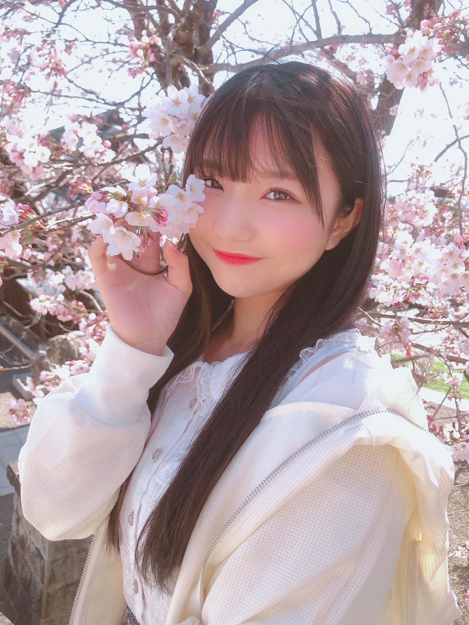 イベント予定(福島県・県中地域予定)