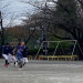 LINE_ALBUM_ライオンズファミリー運動会2024①_241113_881.jpg