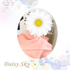 メイクのお写真｜Daisy Sky のコピー (2).png