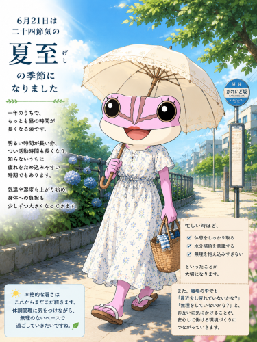 夏至（珠世）.png