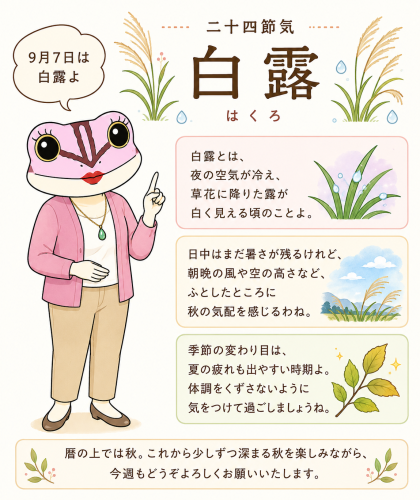 白露.png
