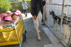 IMG_6114.JPG
