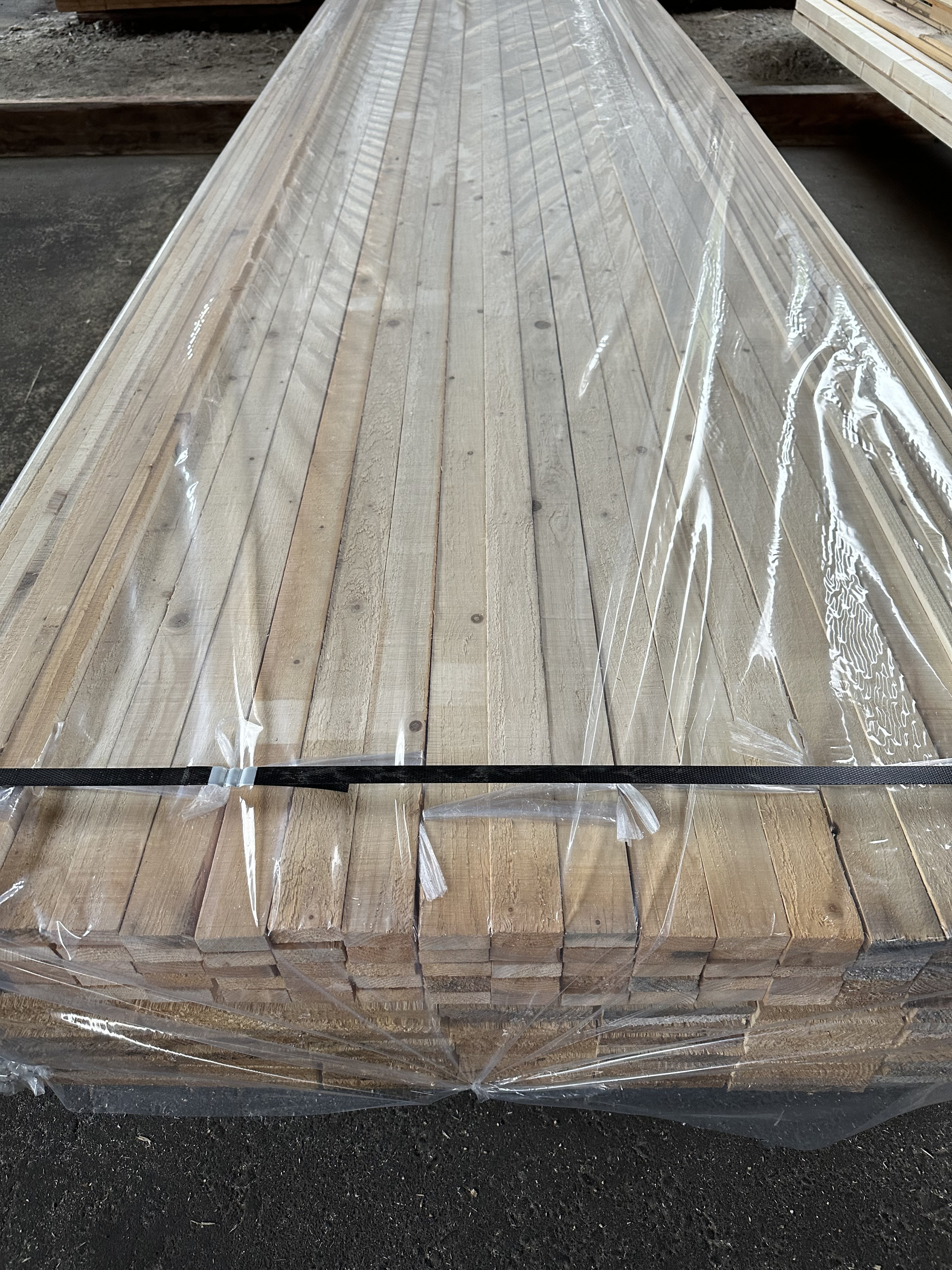 写真　荒木（梱包済）