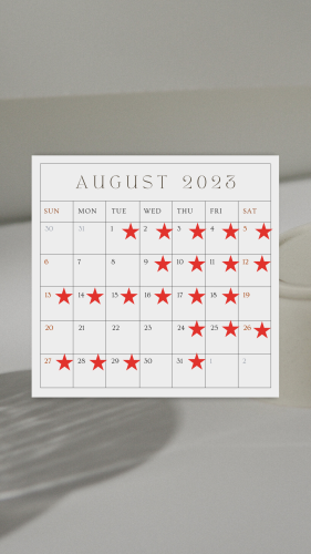 Grey Pastel Simple Aesthetic Minimalist August 2023 Calendar Your Story.png