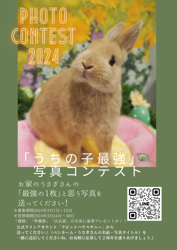 photo contest.png