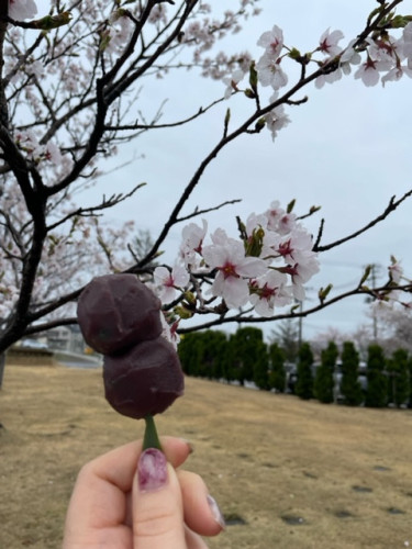 団子.jpeg