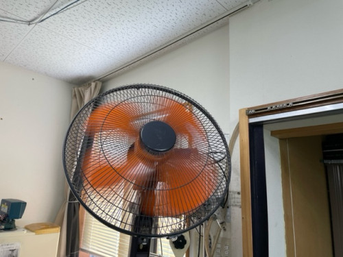 image3.jpeg