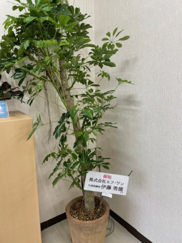 image0.jpeg