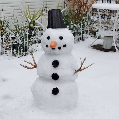 February instructo schedule