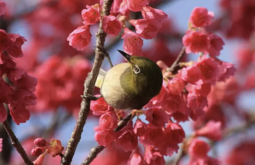 March instructo schedule