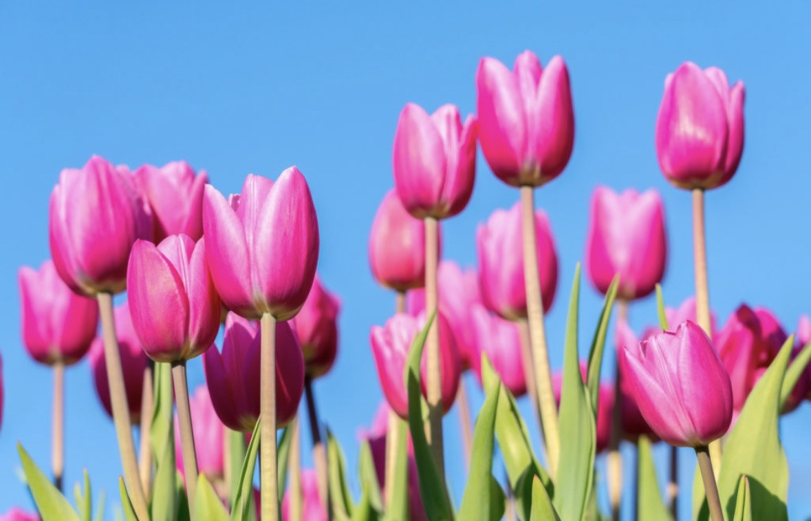 April instructo schedule