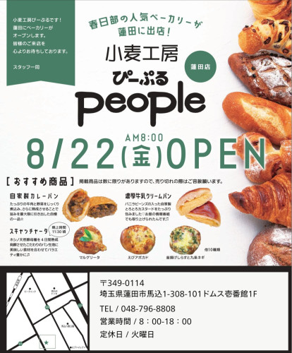 段落テキスト (1).jpg