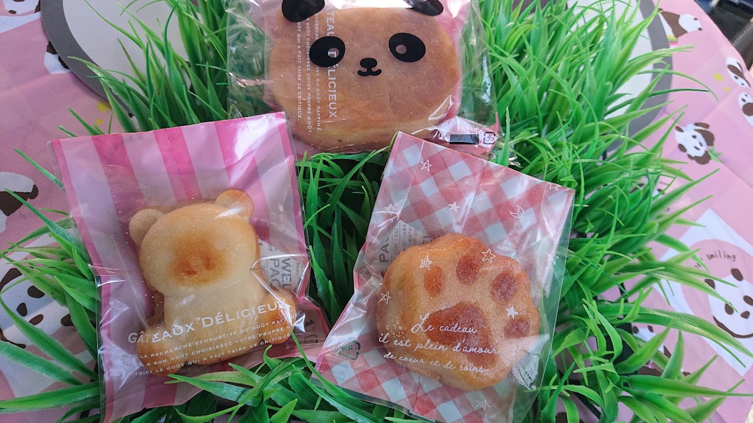 🐼ご飯゜ダよシリーズのセット販売開始しました🐼