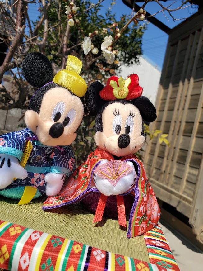 🎎庭の🌸梅が咲きました