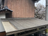 IMG_6152.jpeg