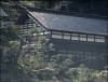 IMG_8785.jpeg