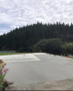 IMG_3362.jpeg