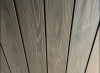 IMG_5078.jpeg