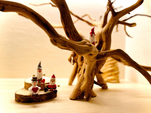 クリスマス限定スペシャルコースのご案内